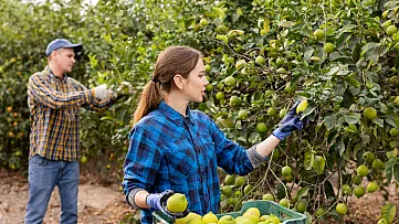 Dohody o prácach vykonávaných mimo pracovného pomeru