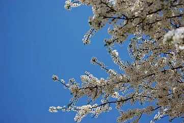 Kvalita života