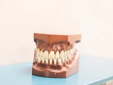 hvjj