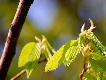 Trestanie mladistvých