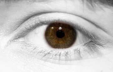 obchodovanie s ľuďmi