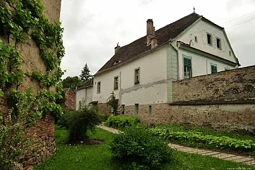 Dražby