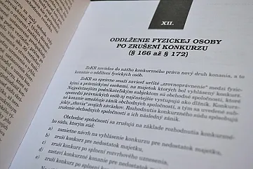 Oddĺženie fyzickej osoby