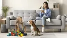 Rodičia môžu počas prázdnin poberať ošetrovné. Zdroj: shutterstock.com/fizkes