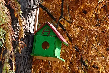 Vyživovacia povinnosť