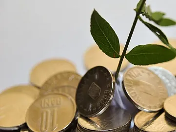 odvody z dividend