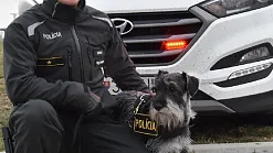 Unikátne policajné psy v službách Policajného zboru