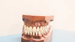 hvjj