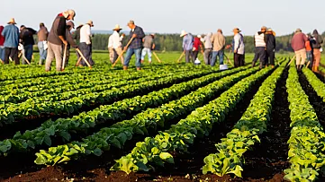 Dohody o prácach mimo pracovného pomeru