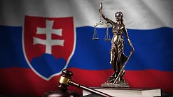Dve pohlavia a zákaz náhradného materstva: Poslanci schválili novelu ústavy