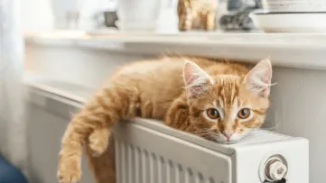 Teplárne radia odberateľom