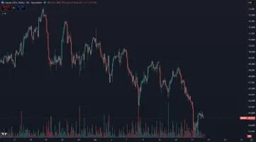 P&aacute;d Nikkei 225