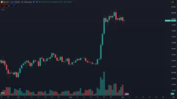 Bitcoin v ned&aacute;vnom raste