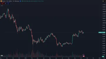 Bitcoin začal opäť rásť