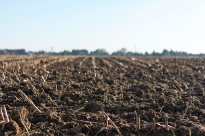 Pripravujú vytvorenie špeciálnej jednotky envirokriminality